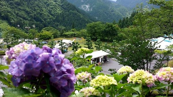 🌳 21세기 숲 공원(니주잇세이키노모리코엔) 이미지 1